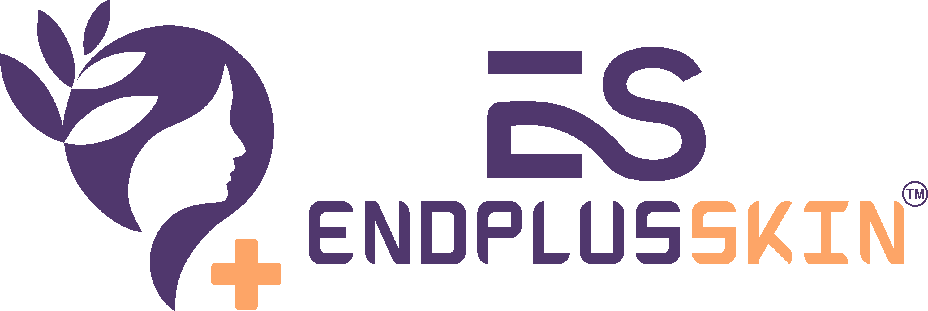 Endplus Skin