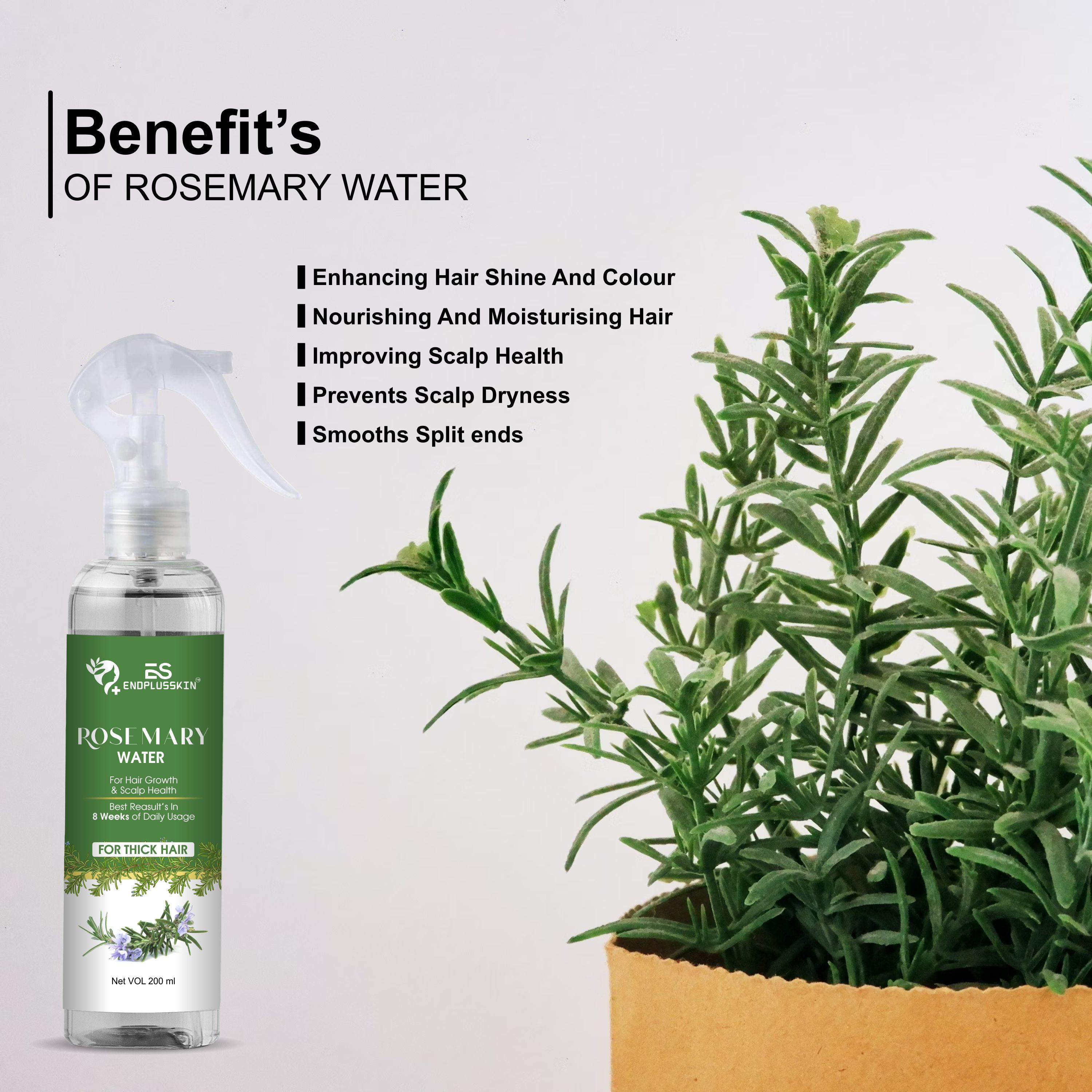 Rosemary Water